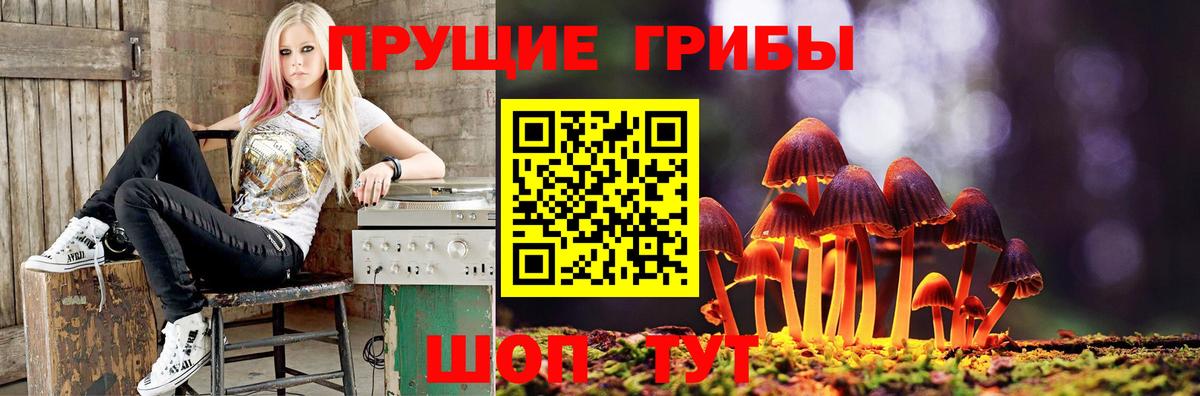 Галлюциногенные грибы Magic Shrooms  Галлюциногенные грибы Psilocybine cubensis  Лесозаводск  закладки  Вход с VPN 