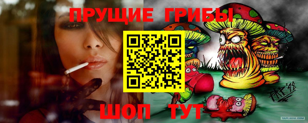 Галлюциногенные грибы Cubensis Лесозаводск